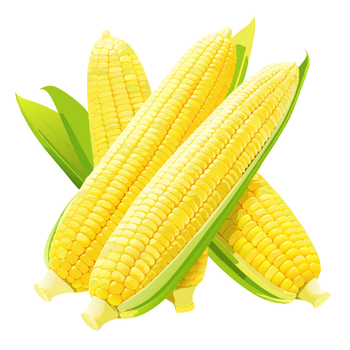 1 (3931).png